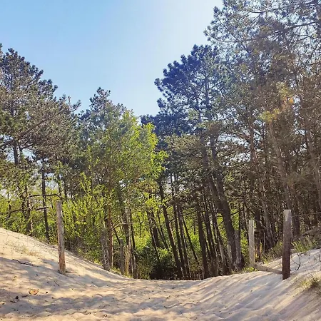 Beautiful In בית נופש פוביירובו